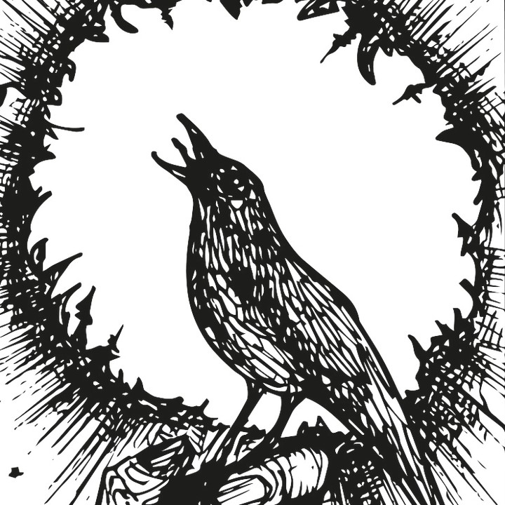 Dettaglio