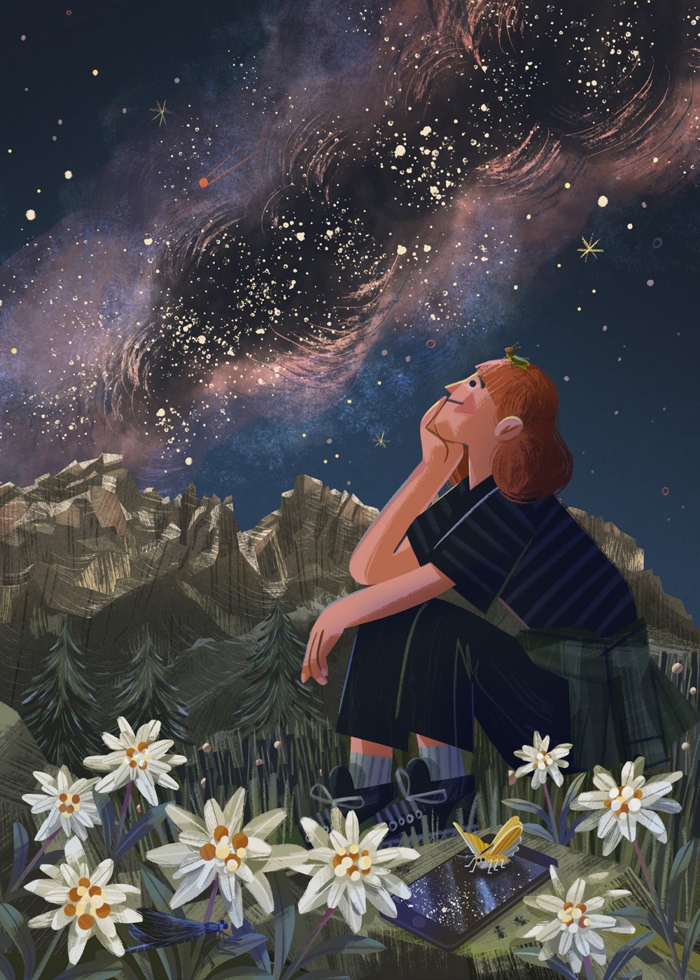 A RIVEDER LE STELLE